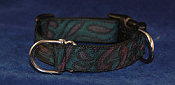 Combo Style Collar