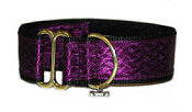 Standard Piluzo Style Collar