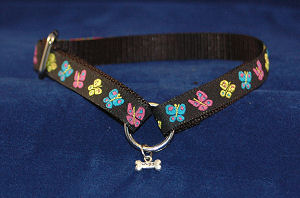 Pastel Butterflies 1/2" collar