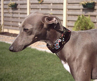 1 1/4" Collars