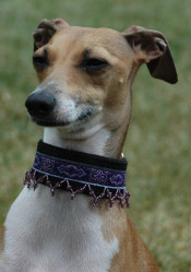 Beaded Collars