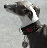 1 1/2" Wide Collars