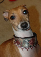 Beaded Collars