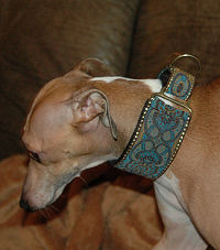 2" Collars