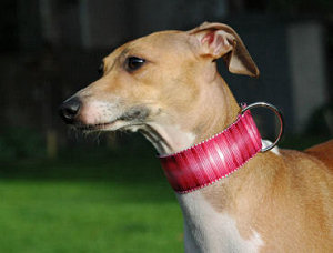 1 1/2" Collars