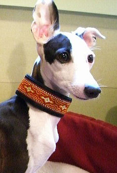 Beaded Simple Martingale Collars