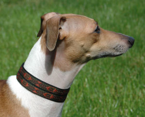 1" Collars